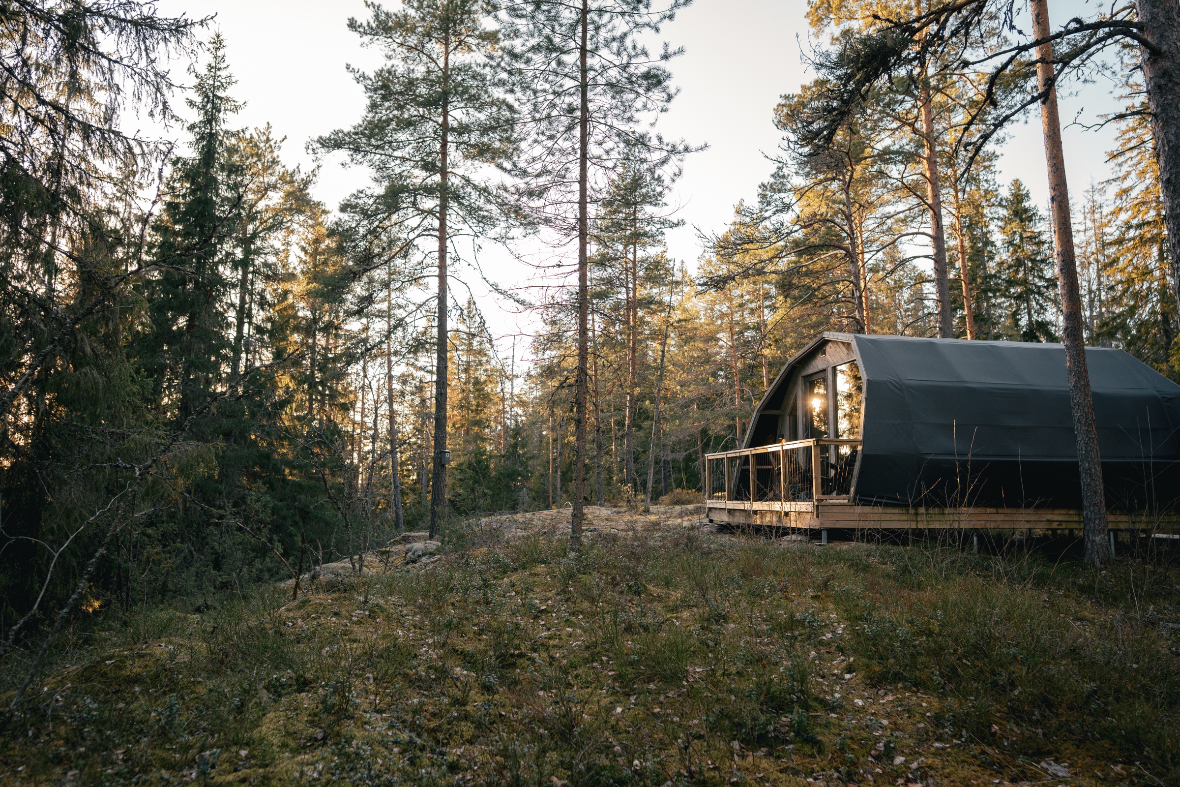 Haltia Lake Lodge